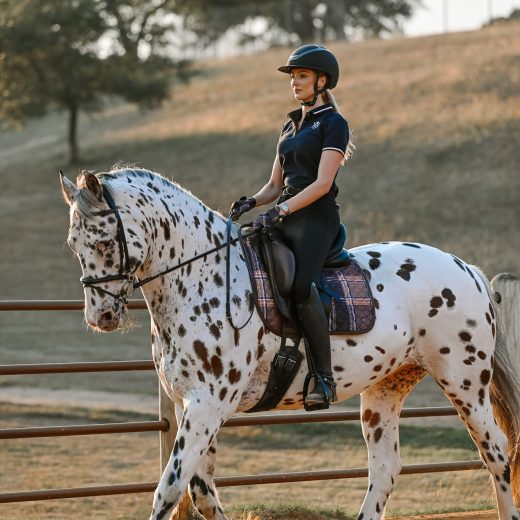 Zadeldek Heritage Check dressuur