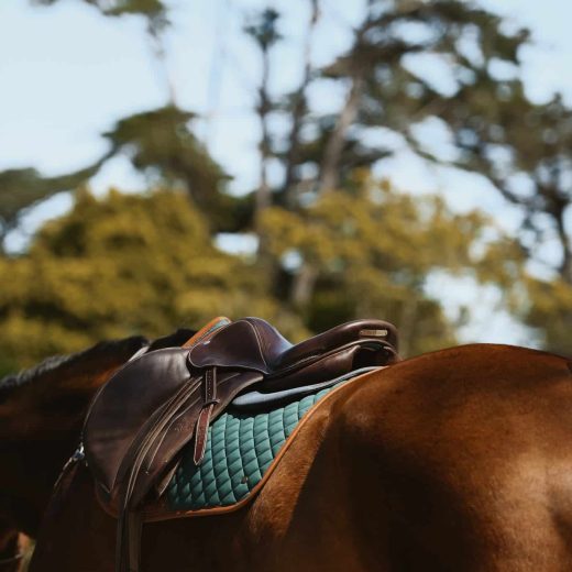 Zadeldek Classic veelzijdigheid