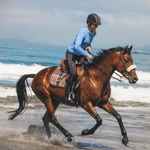 Zadeldek Heritage Check veelzijdigheid