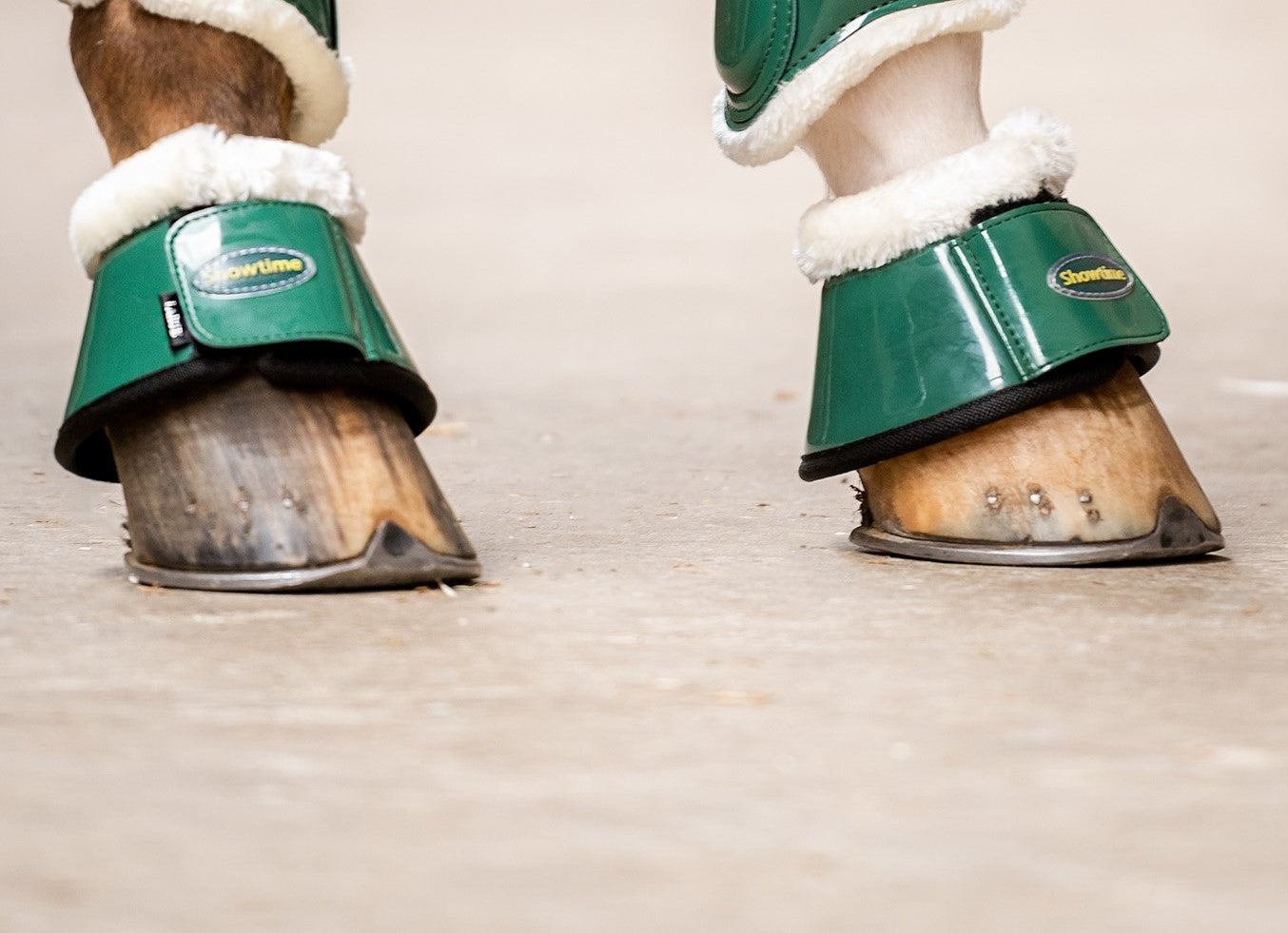 HB Showtime Crown springschoenen