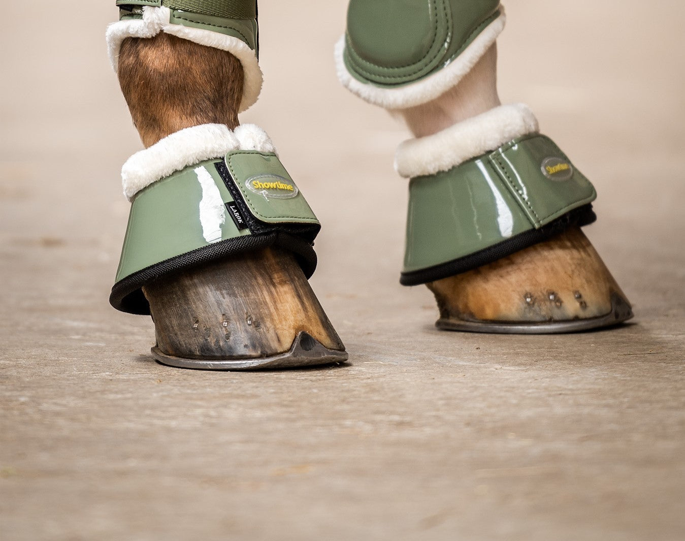 HB Showtime Crown springschoenen