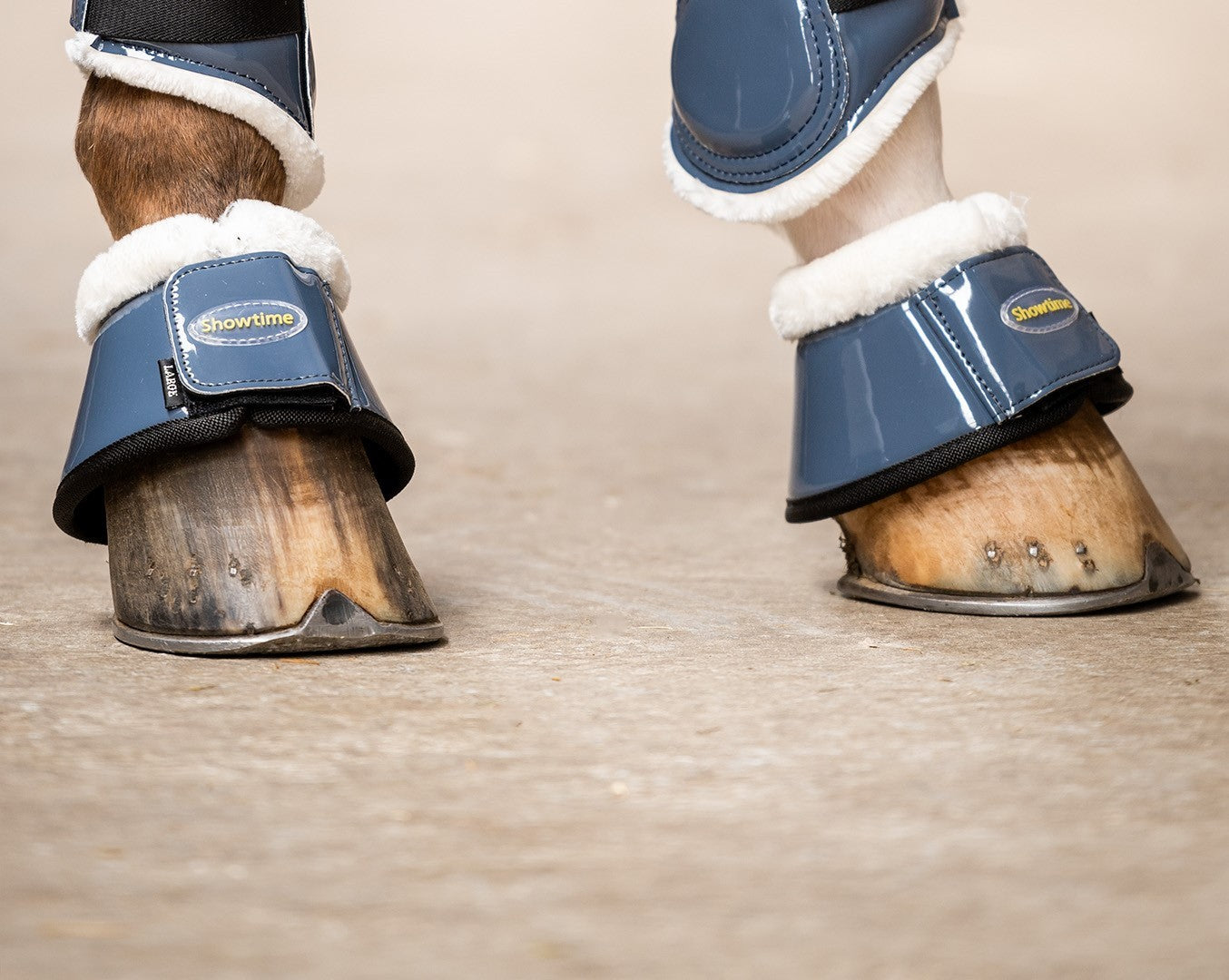 HB Showtime Crown springschoenen