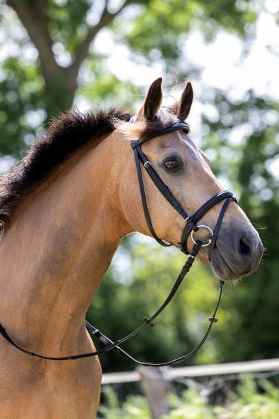 HB Hoofdstel Basic Zwart RVS