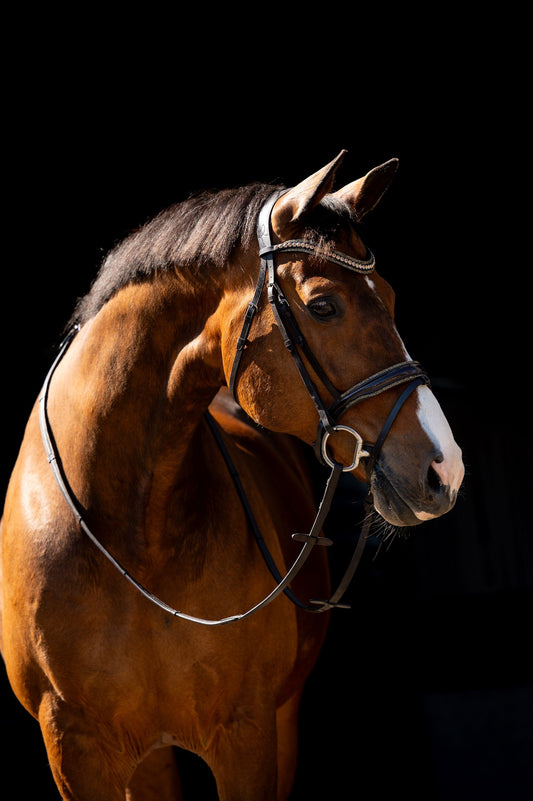 HB Showtime Jump Rocky Glitter