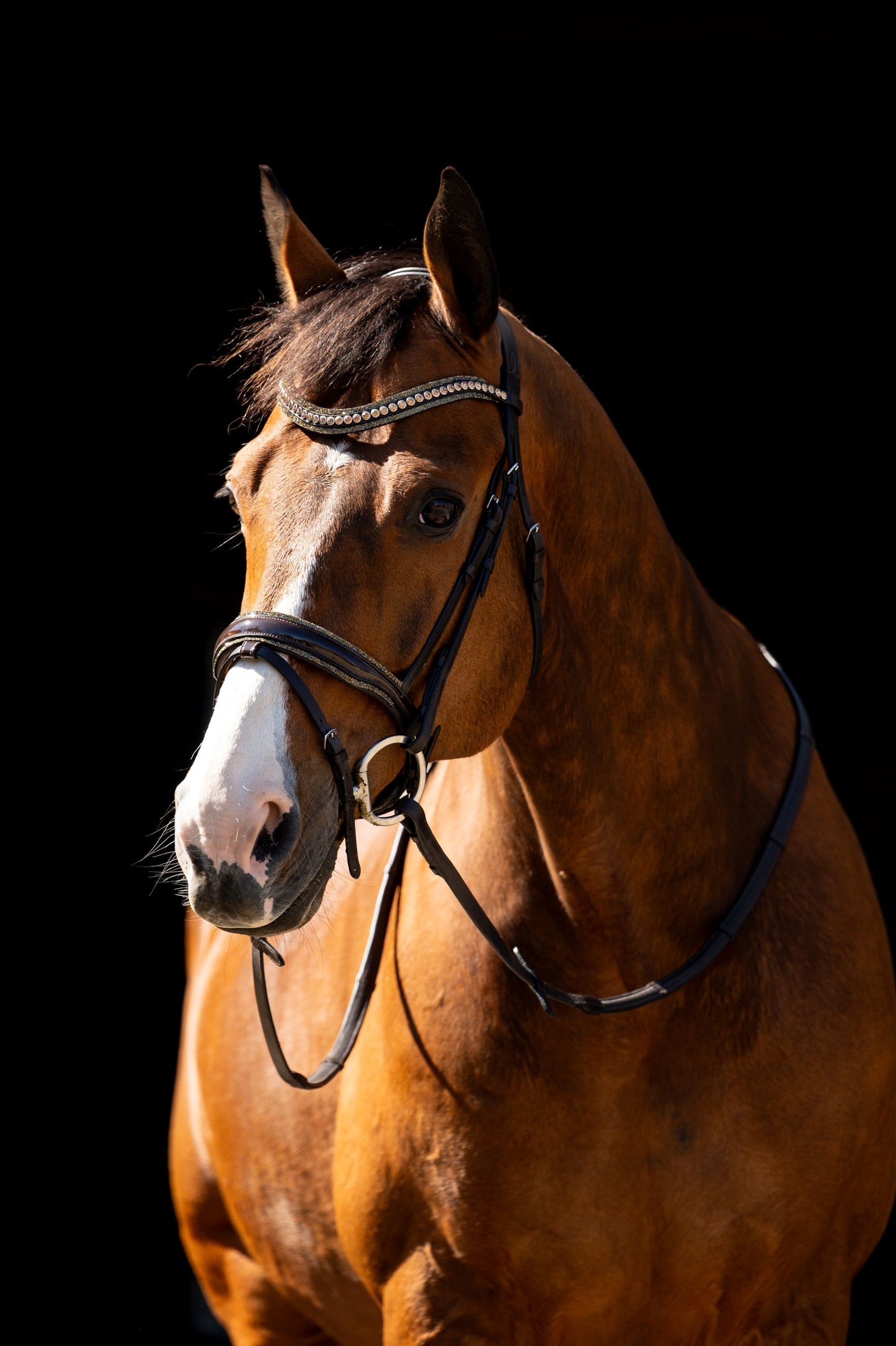 HB Showtime Jump Rocky Glitter