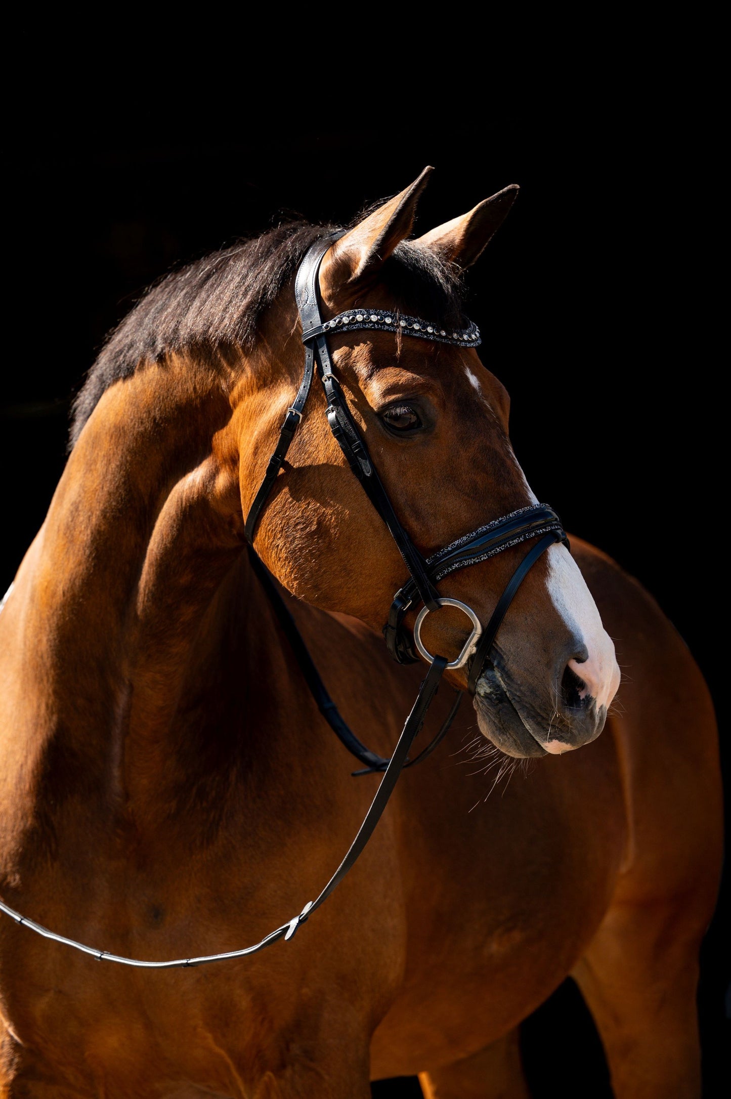 HB Showtime Jump Rocky Glitter