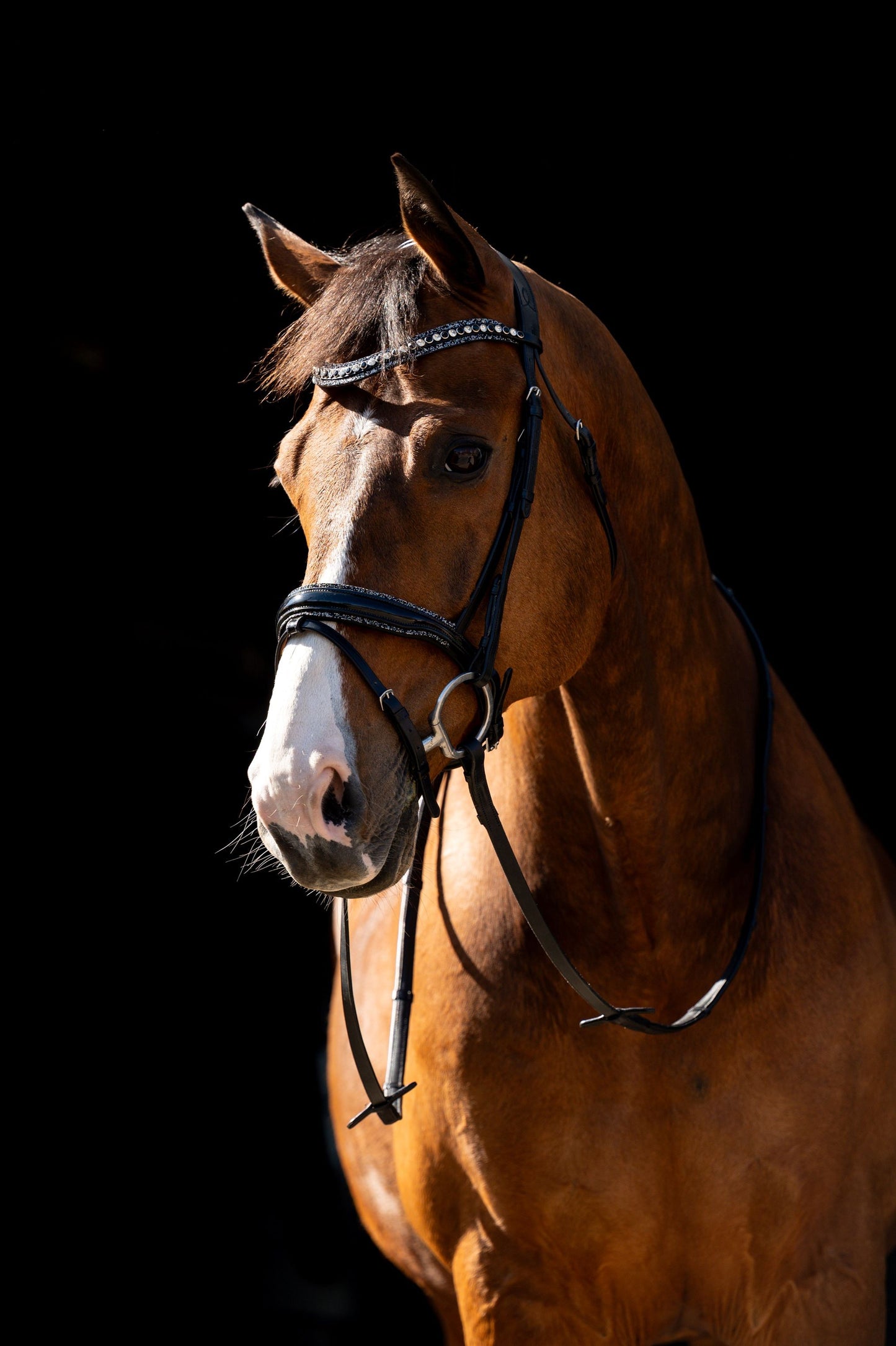 HB Showtime Jump Rocky Glitter