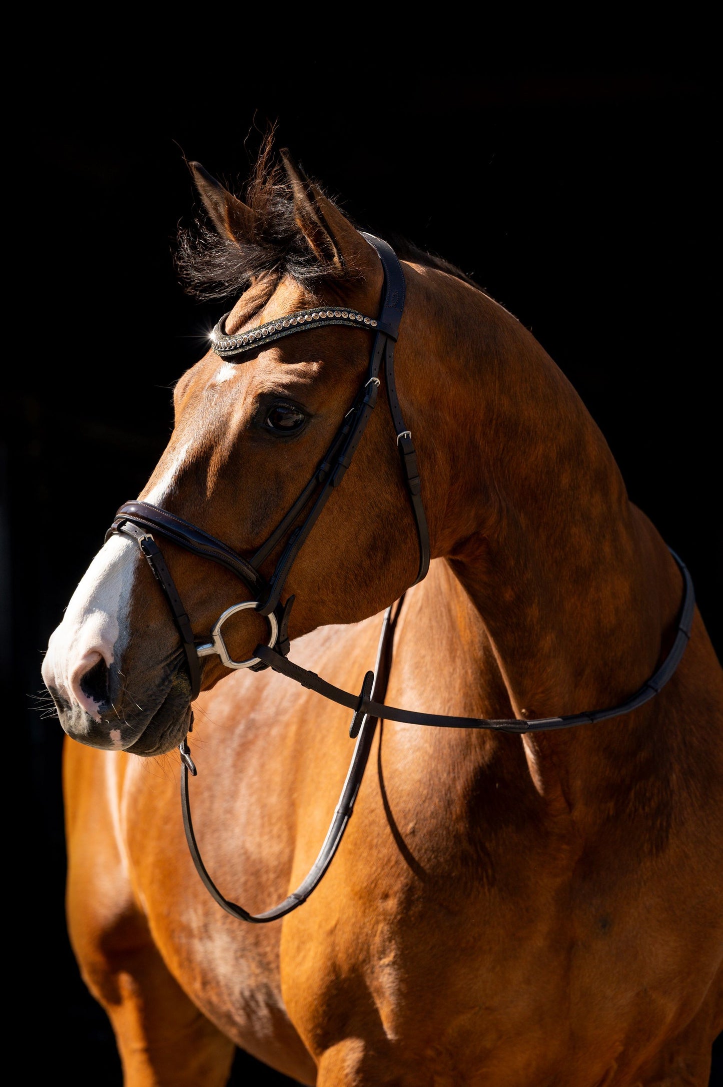 HB Showtime Jump lak