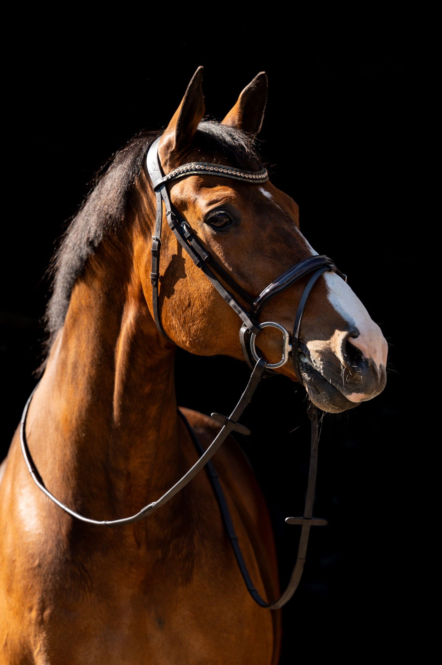 HB Showtime Jump lak