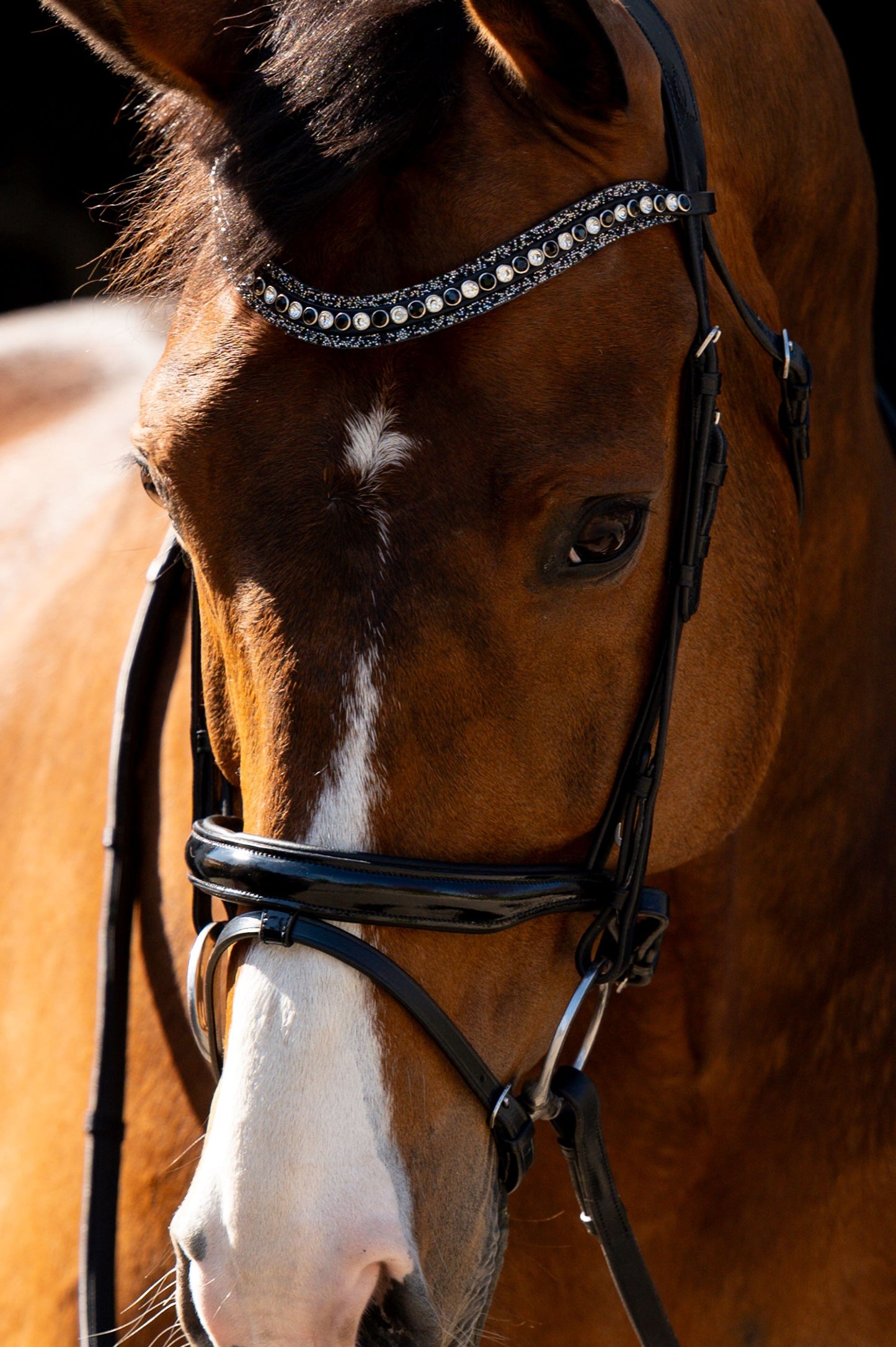 HB Showtime Jump lak