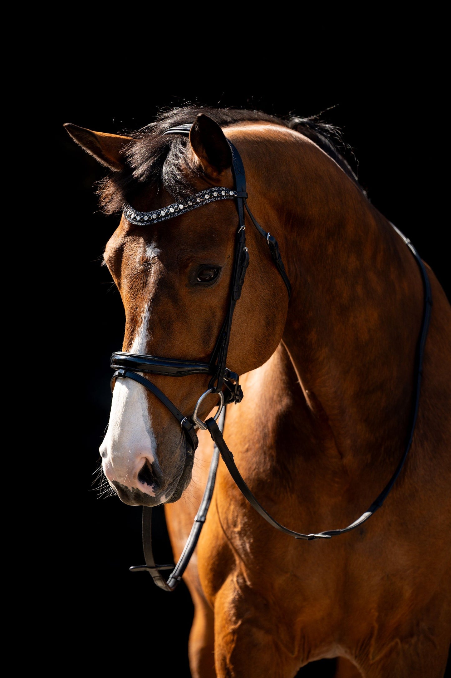 HB Showtime Jump lak