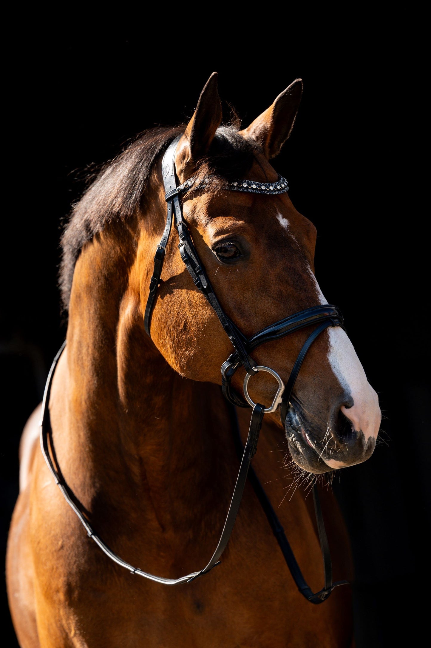 HB Showtime Jump lak