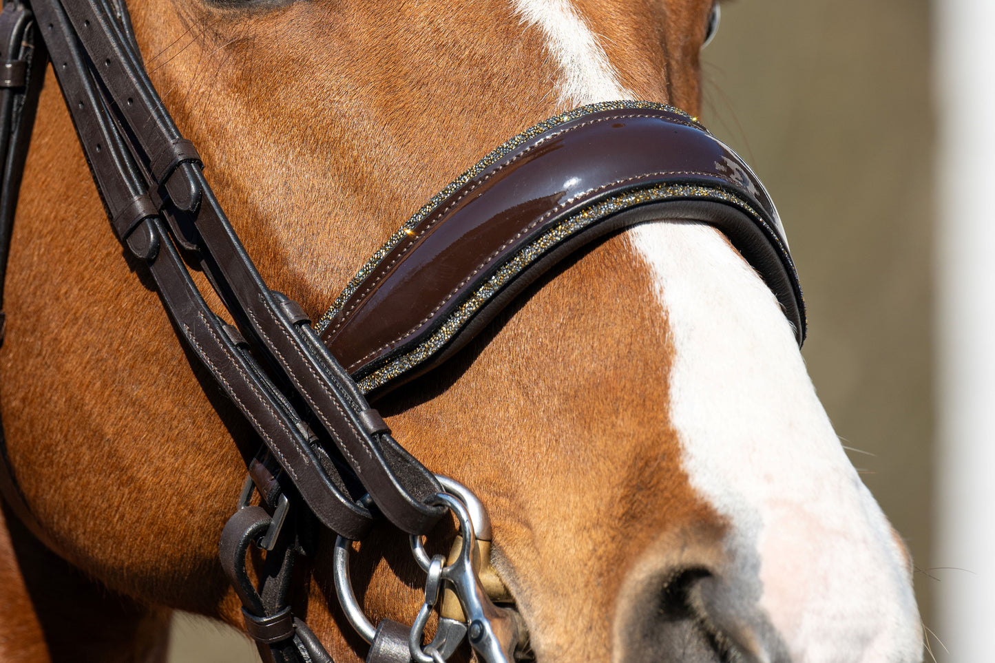 HB Showtime One in a Million