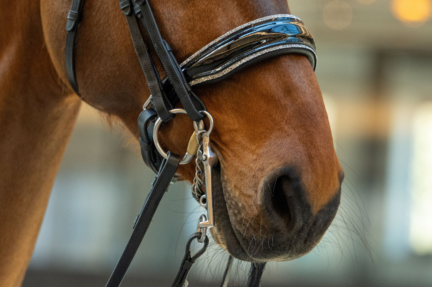 HB Showtime One in a Million