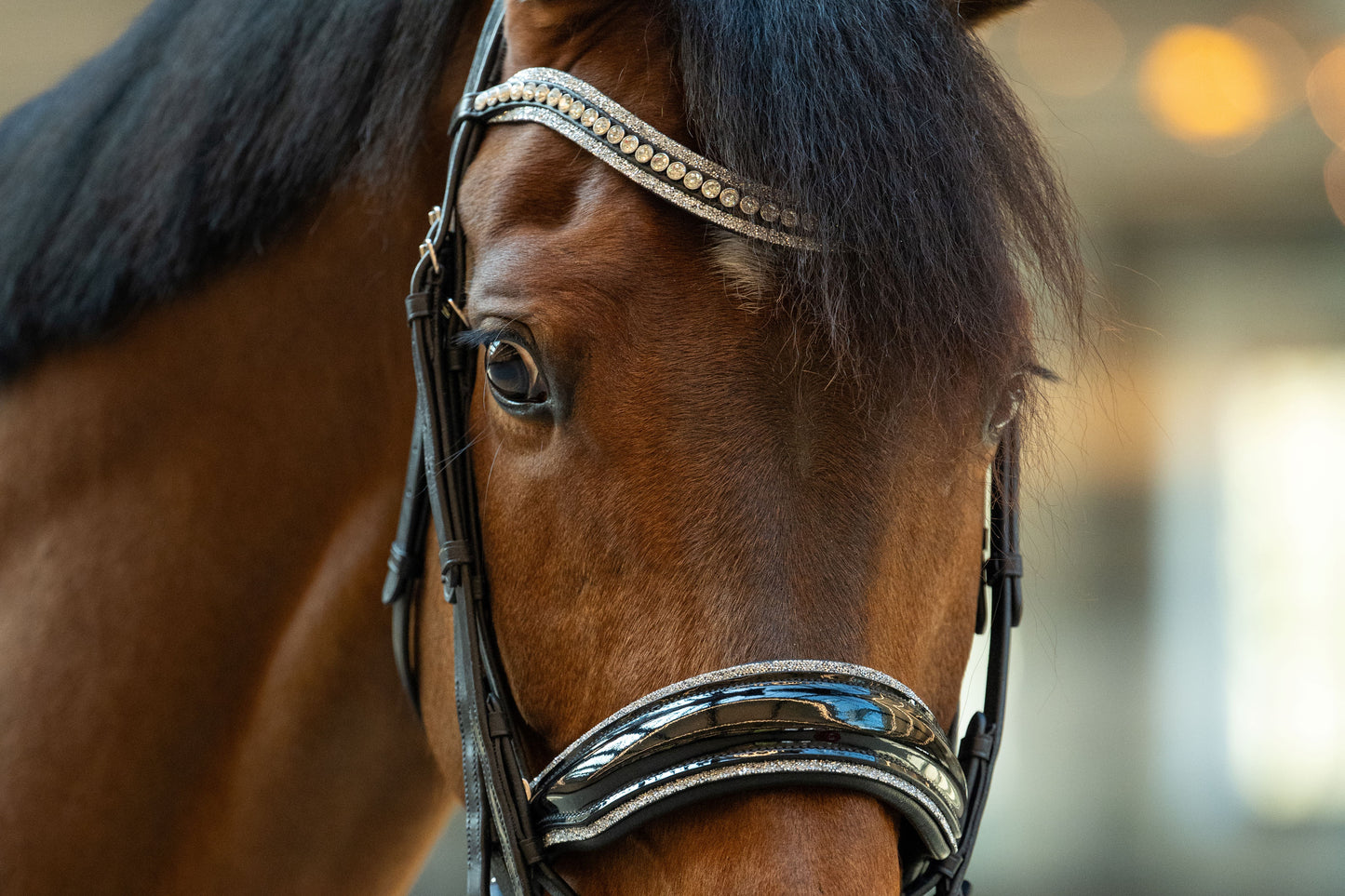 HB Showtime One in a Million