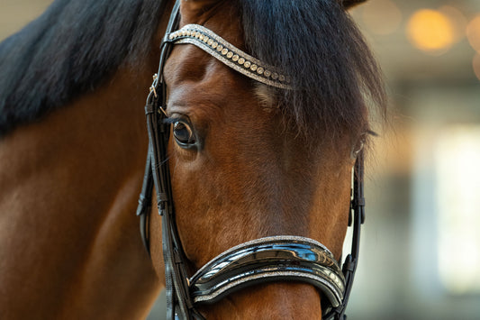 HB Showtime One in a Million