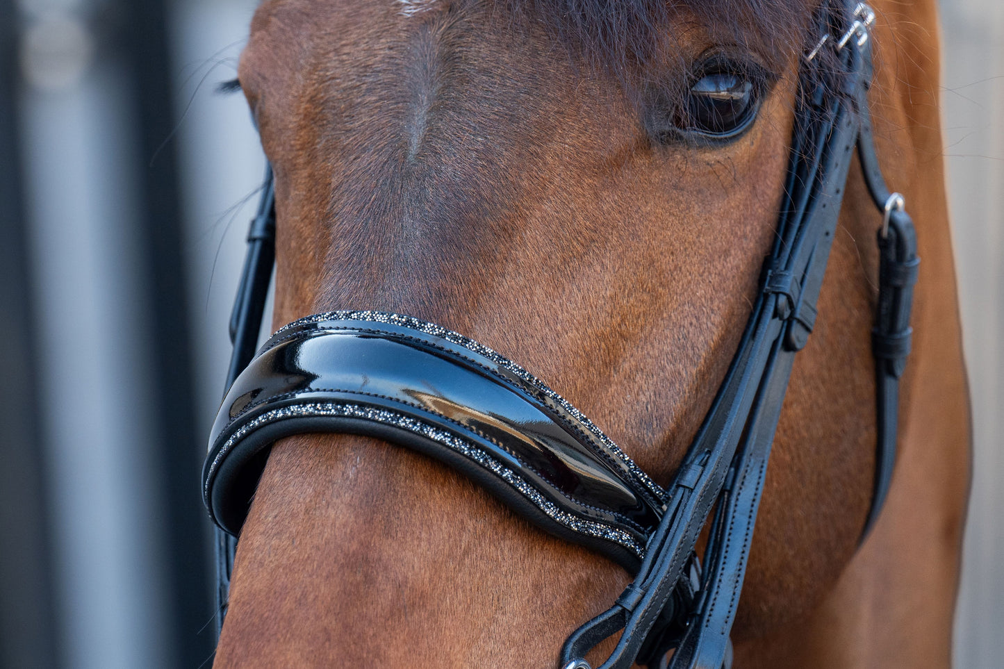 HB Showtime One in a Million