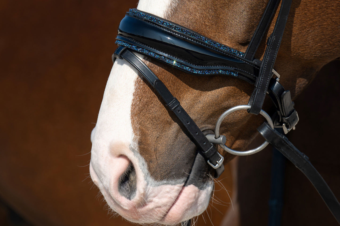 HB Showtime It is So Special