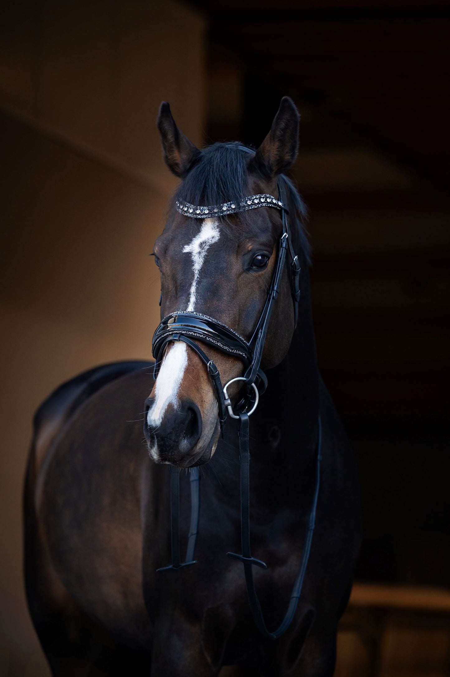 HB Showtime It is So Special