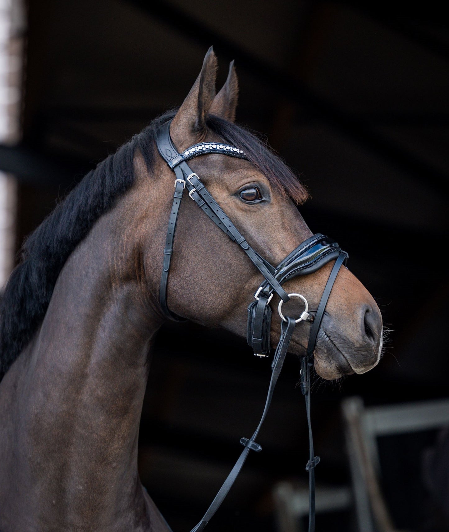 HB Showtime Stockholm