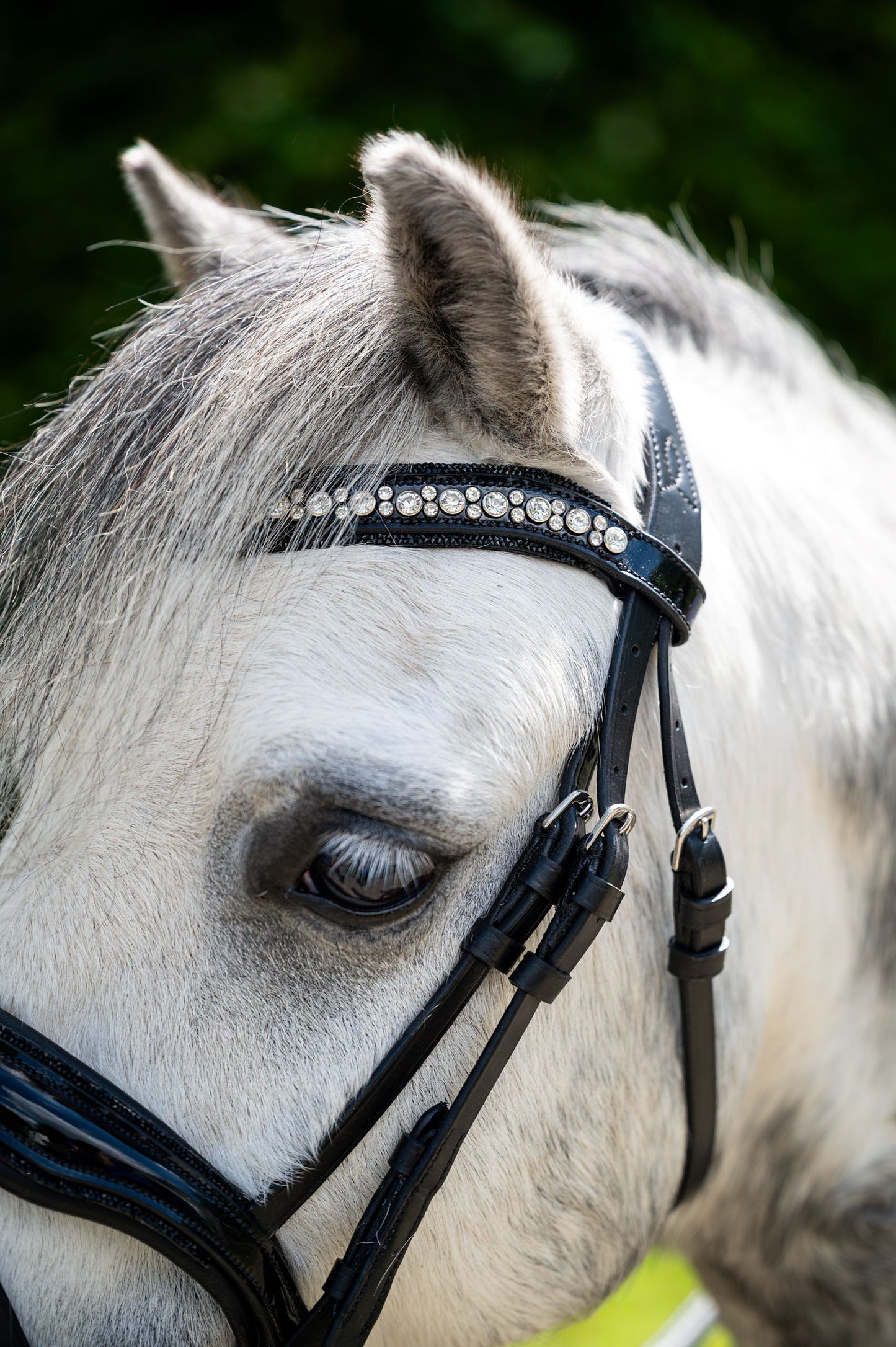 HB Showtime Stockholm