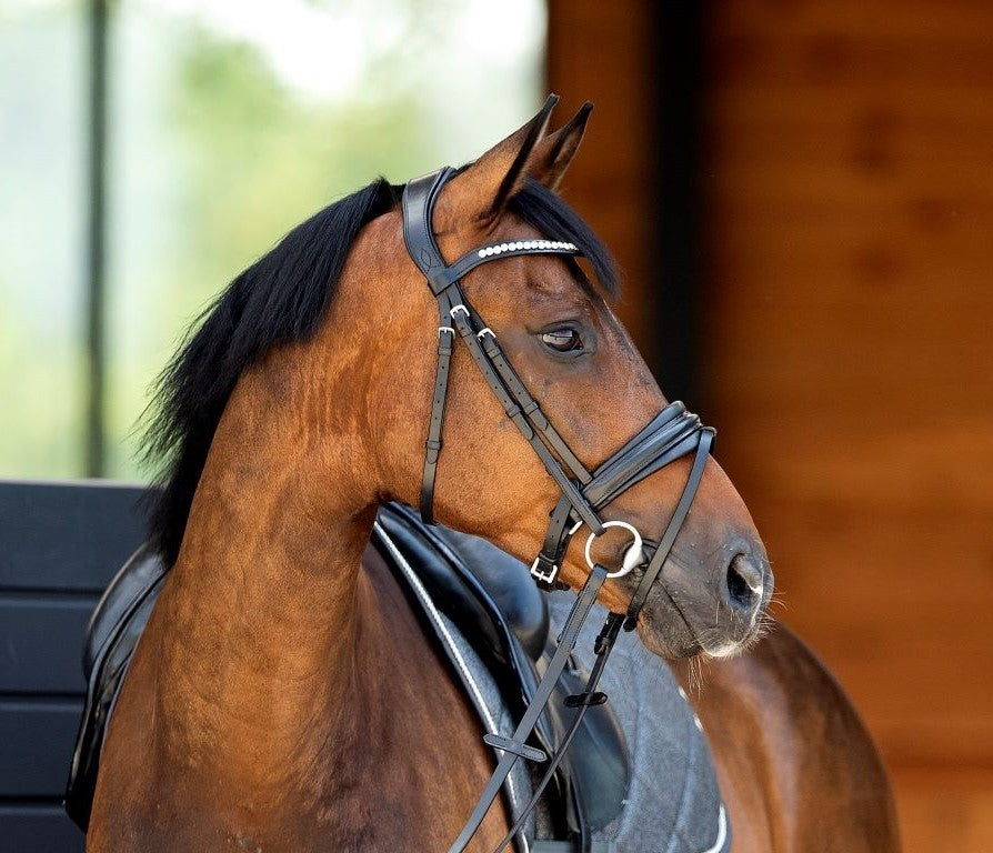 HB Show-time Very soft