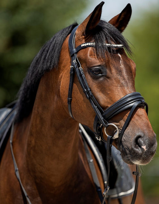 HB Show-time Very soft