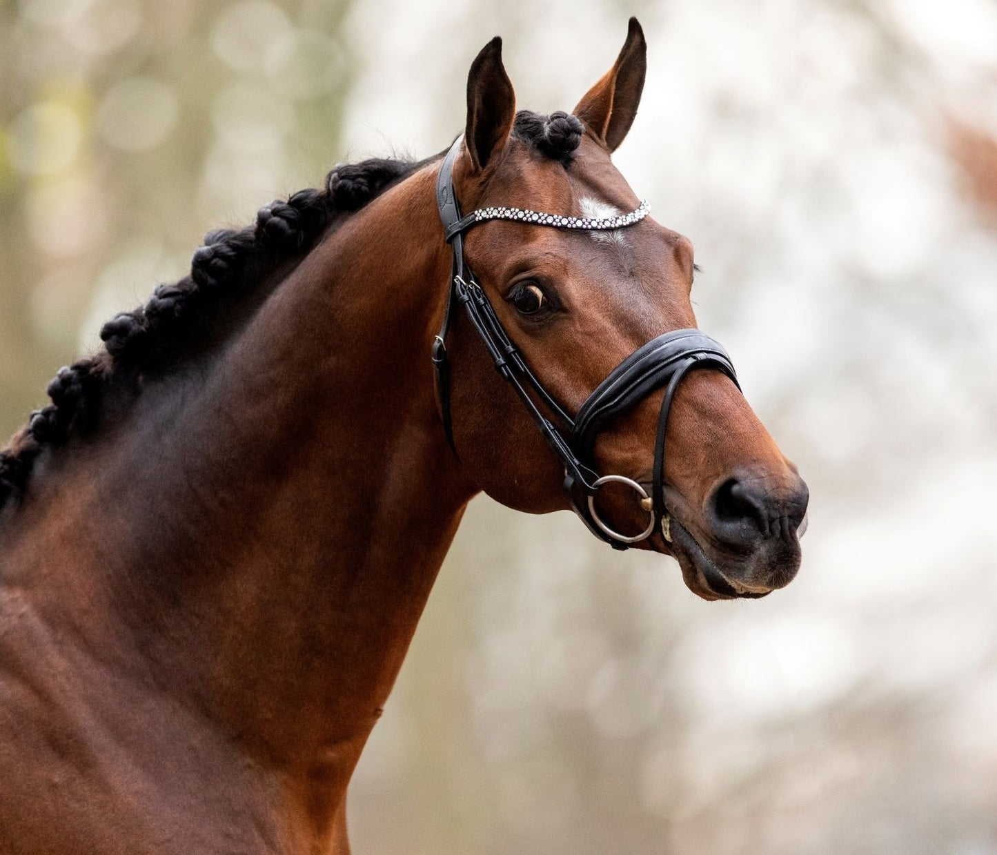 HB Show-time Great Love