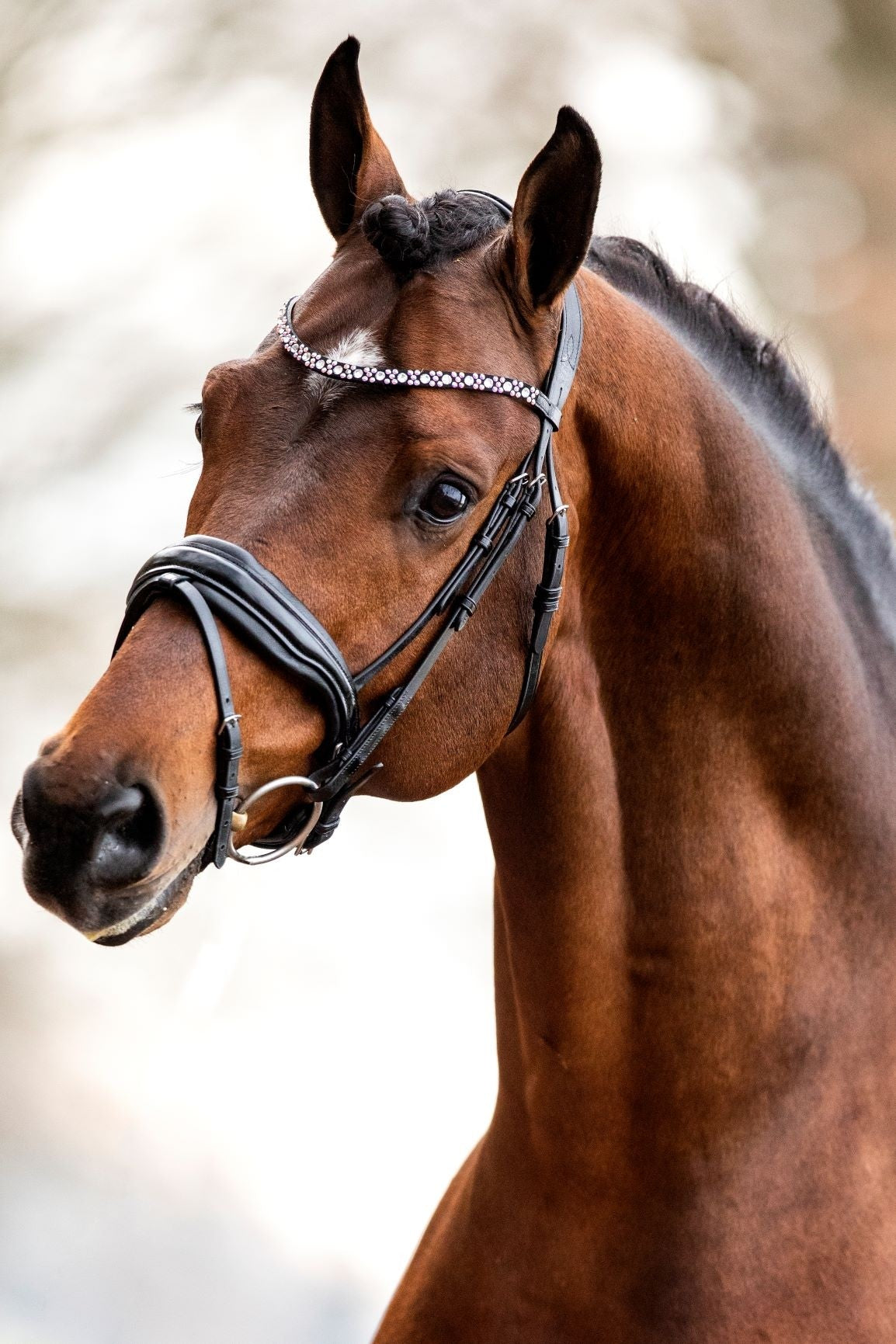 HB Show-time Great Love