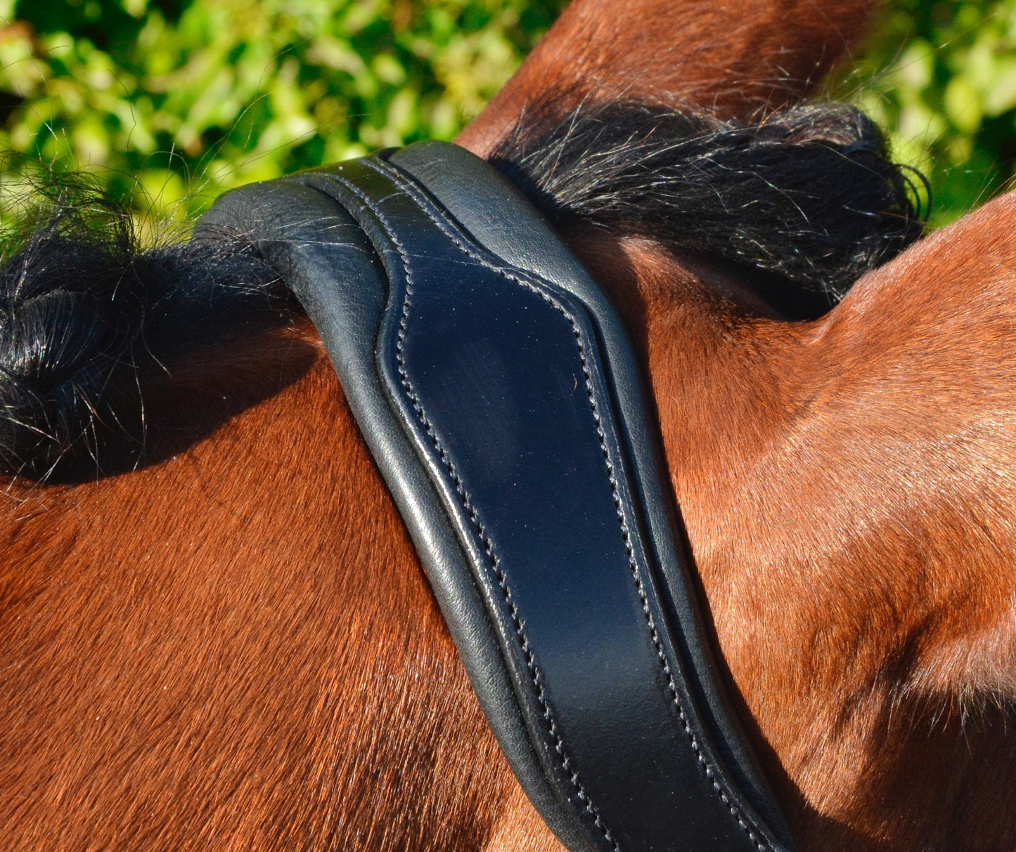 HB Showtime Stang en trens hoofdstel Dark Pleasure