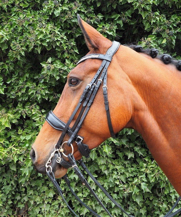 HB Showtime Stang en trens hoofdstel Dark Pleasure