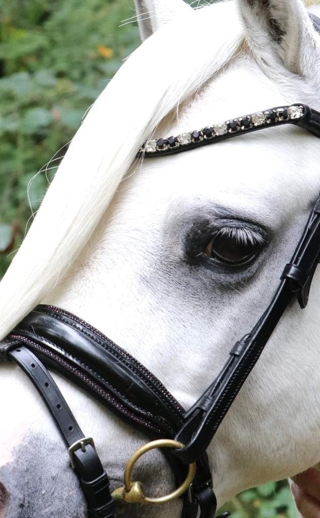 HB Showtime Hoofdstel Special A-pony