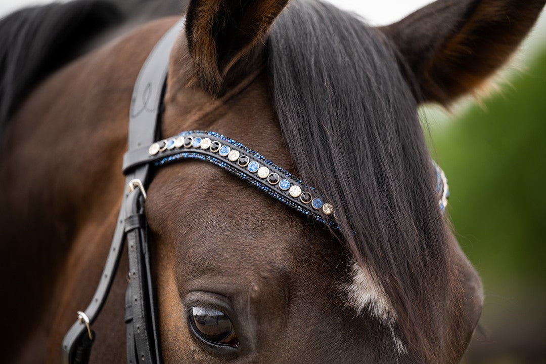 HB Showtime Las Vegas