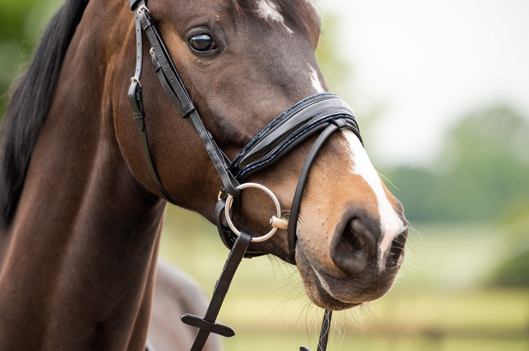 HB Showtime Las Vegas