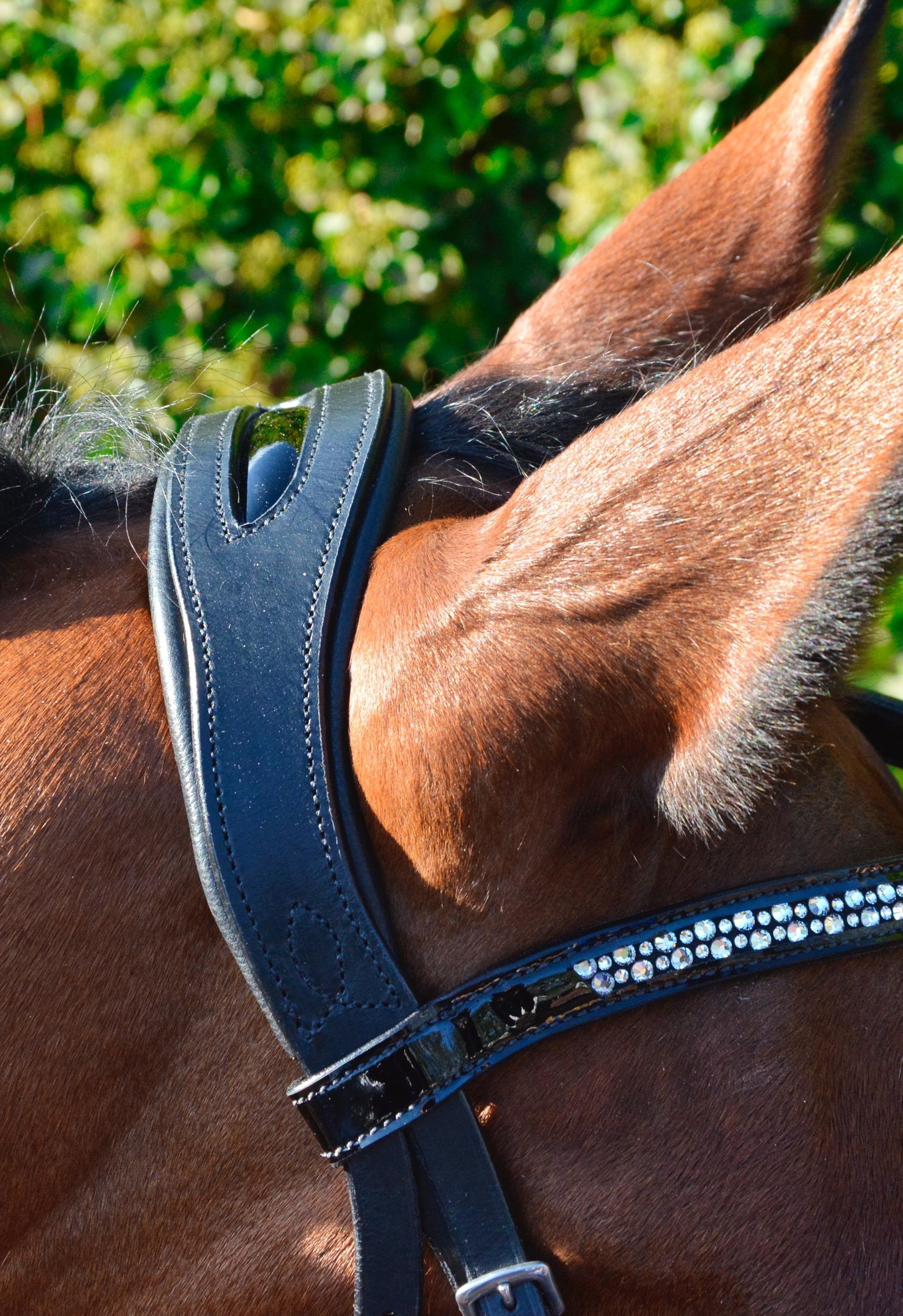 HB Showtime Hoofdstel Saffier