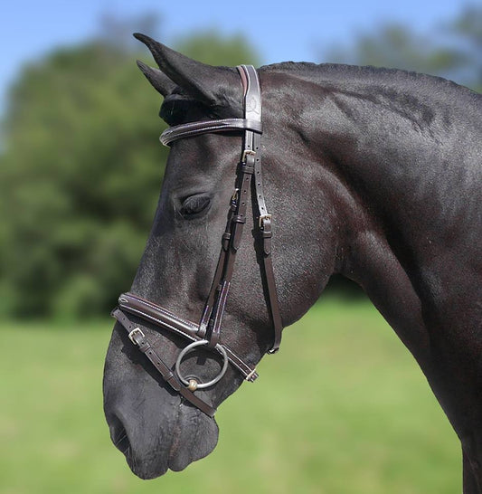 HB Show-time Hoofdstel Design