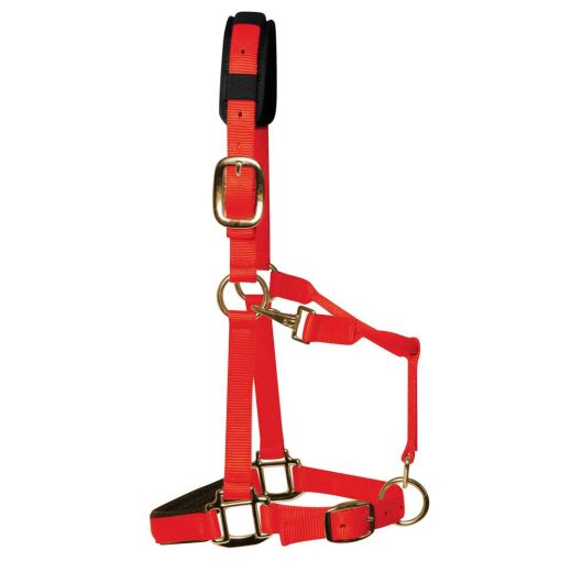 KM Elite Luxe gevoerd halster-Rood