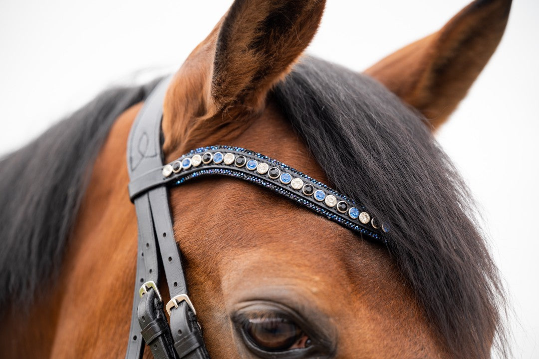 HB Showtime All You Needed