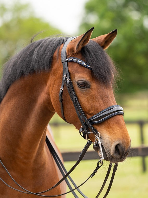 HB Showtime All You Needed