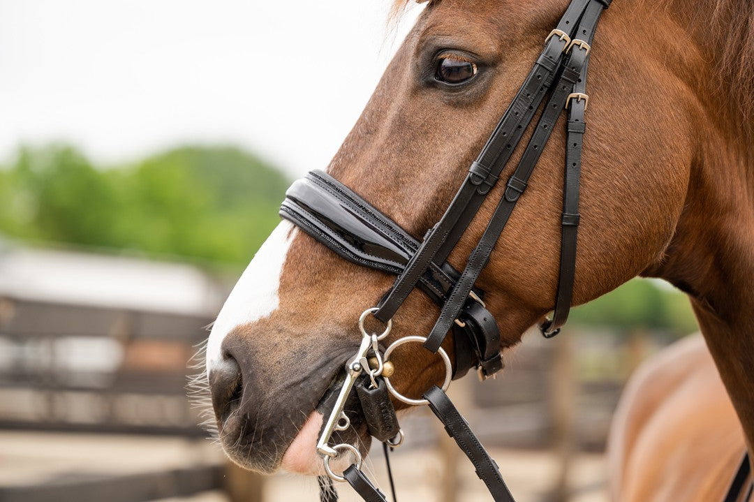 HB Showtime All You Needed