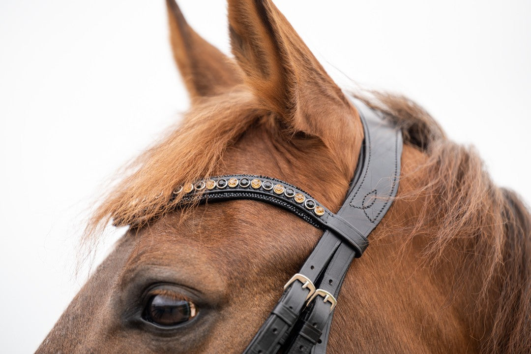 HB Showtime All You Needed