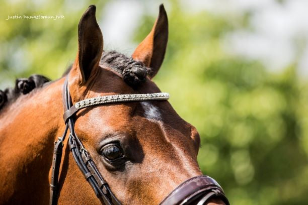 HB Showtime Hoofdstel Chicago