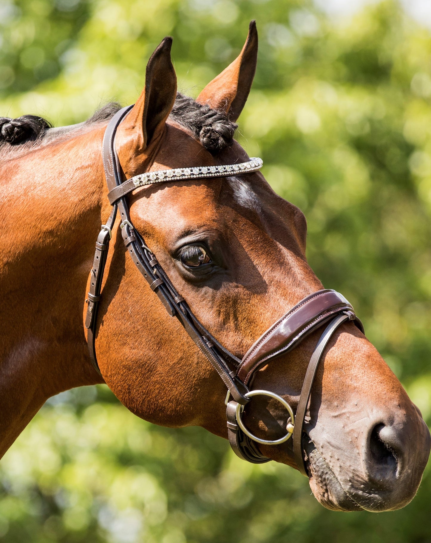 HB Showtime Hoofdstel Chicago