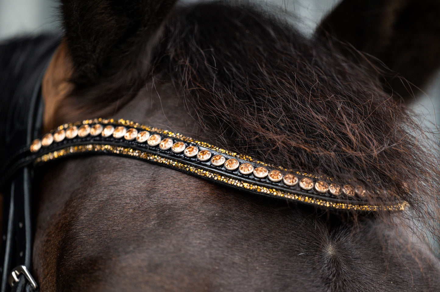 HB Showtime Golden Dreams