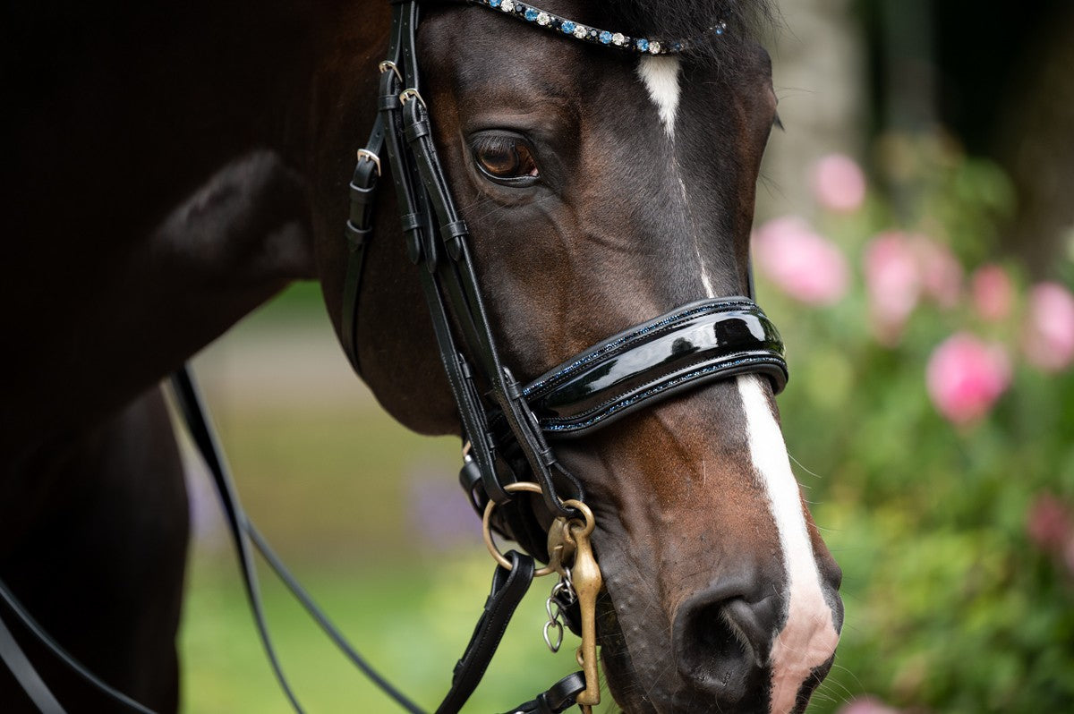 HB Showtime Special for You