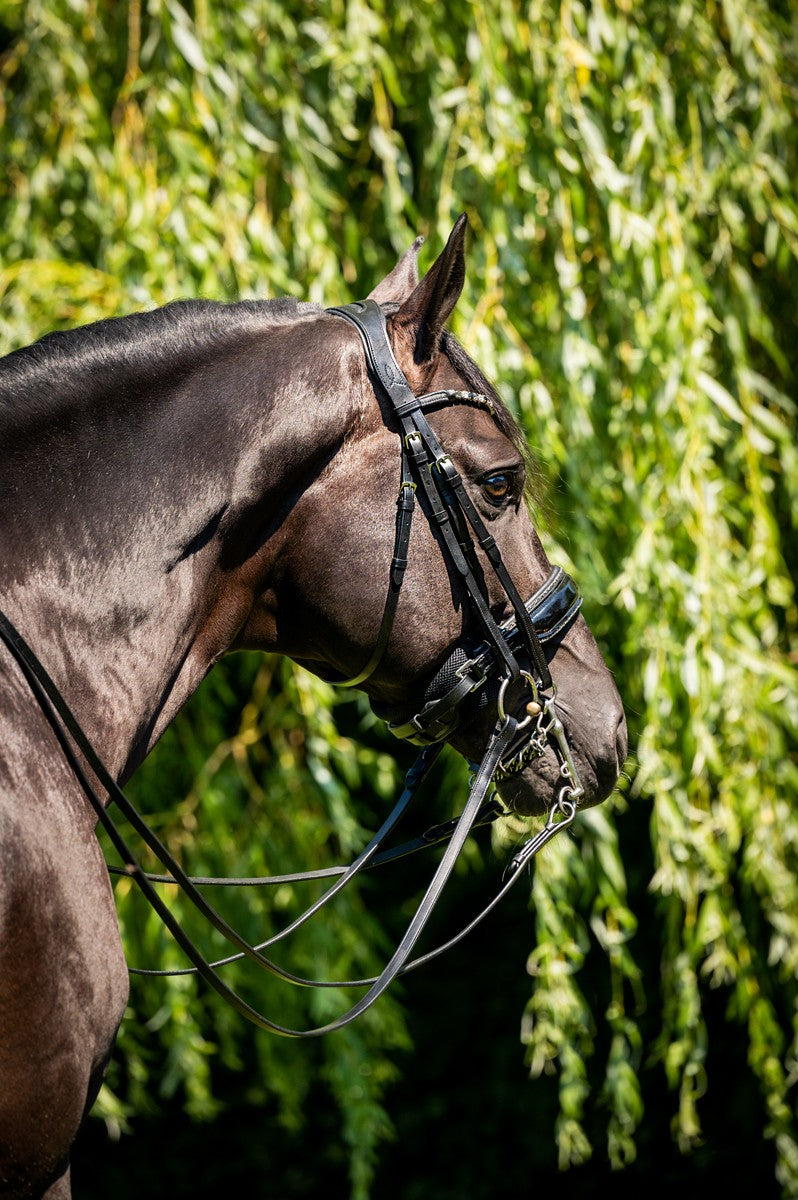 HB Showtime Special for You