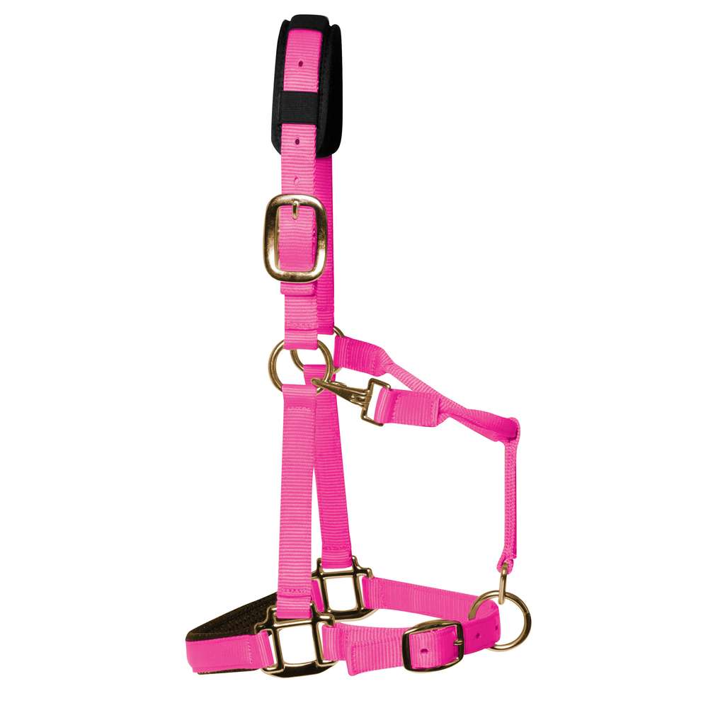 KM Elite Luxe gevoerd halster-Warm Roze