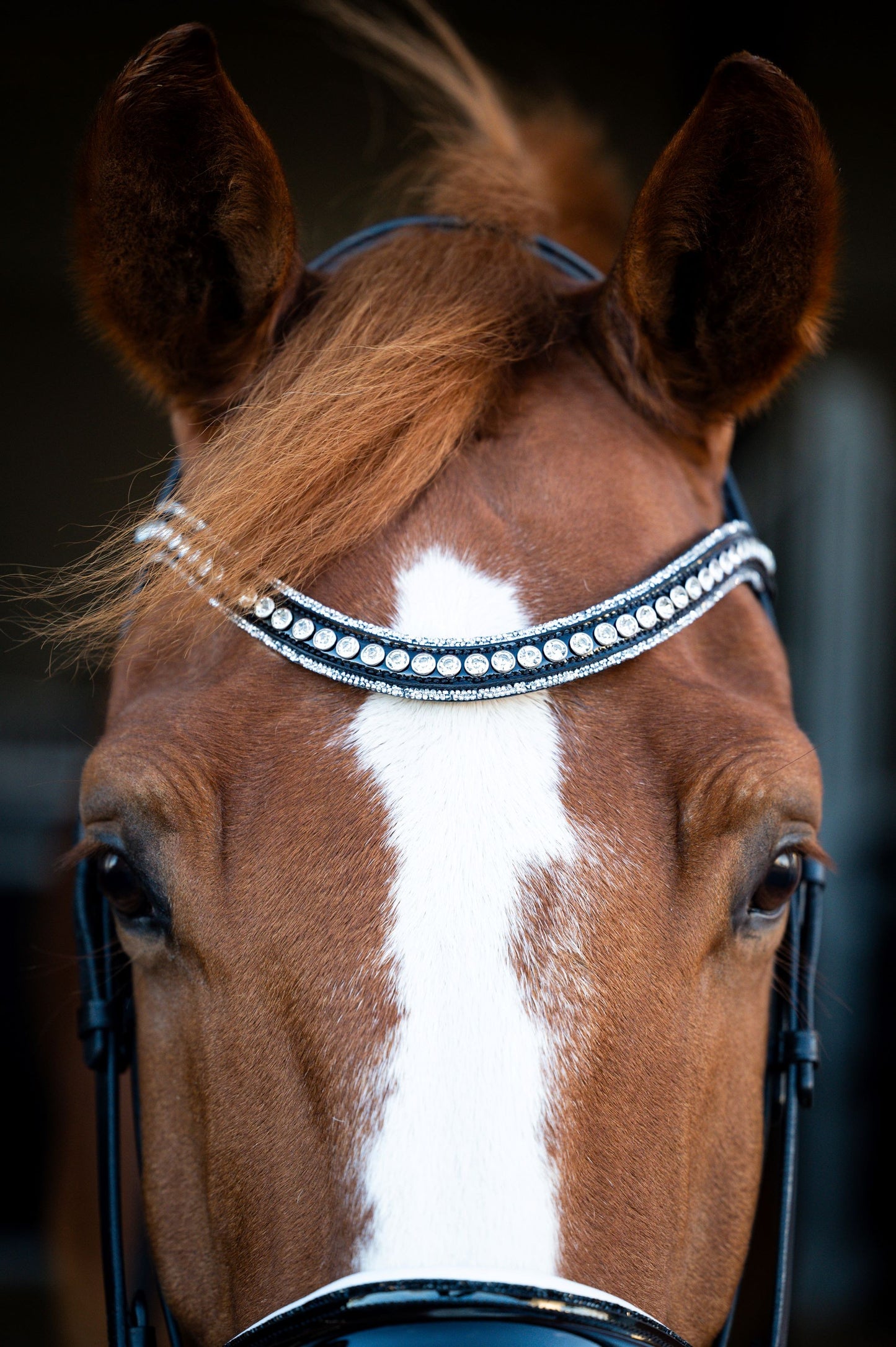 HB Showtime Snowflake