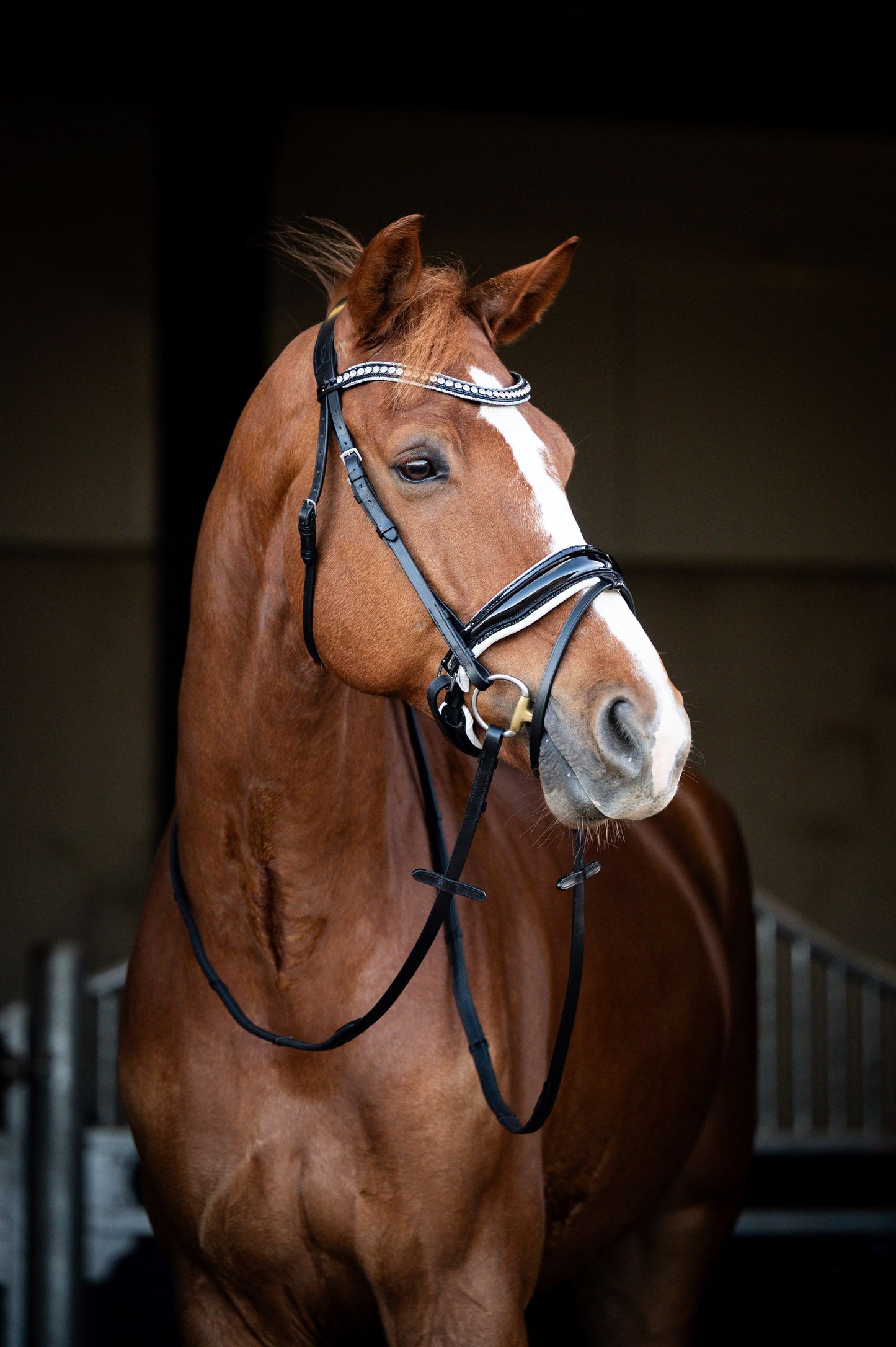 HB Showtime Snowflake