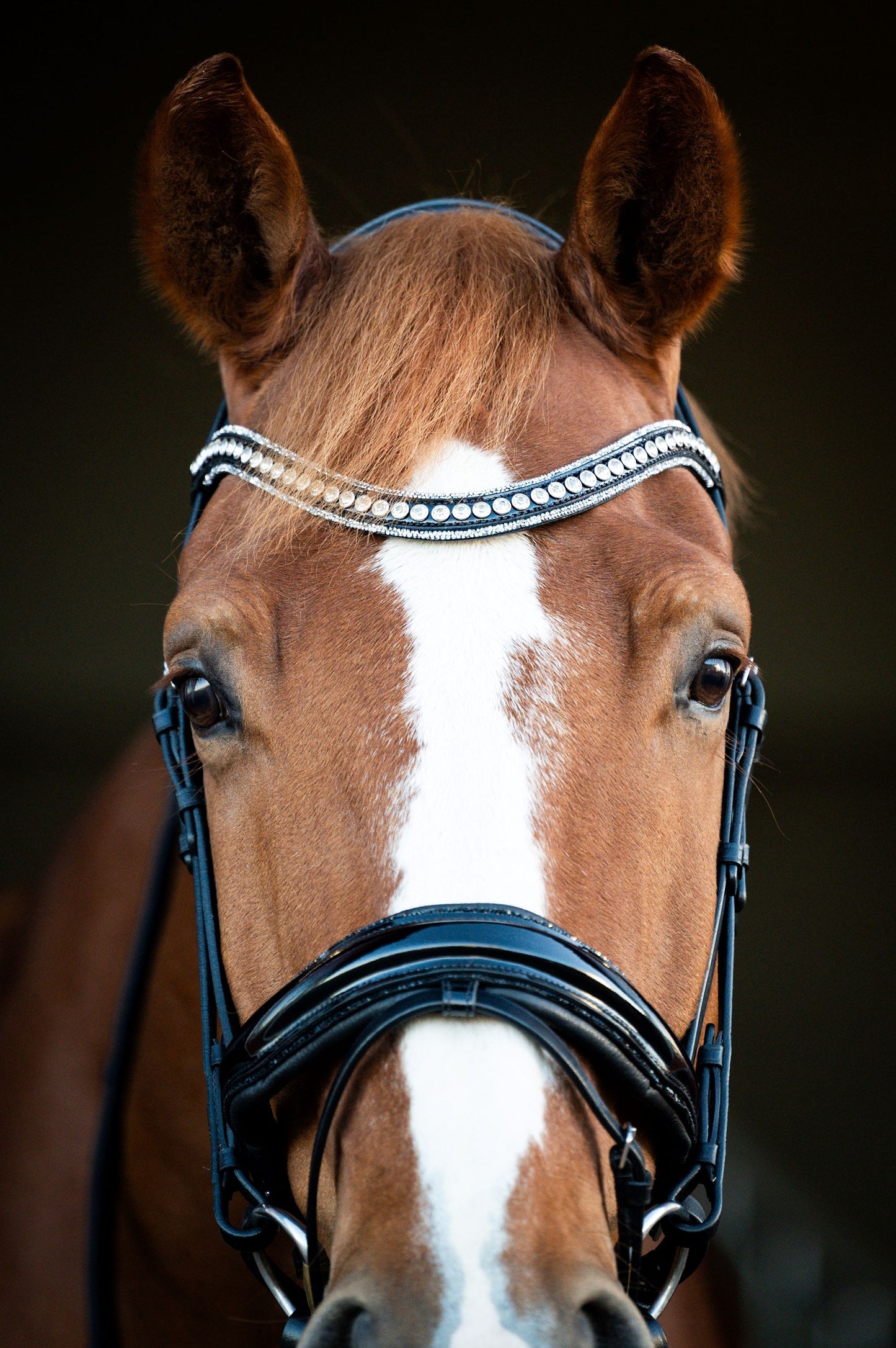 HB Showtime Snowflake